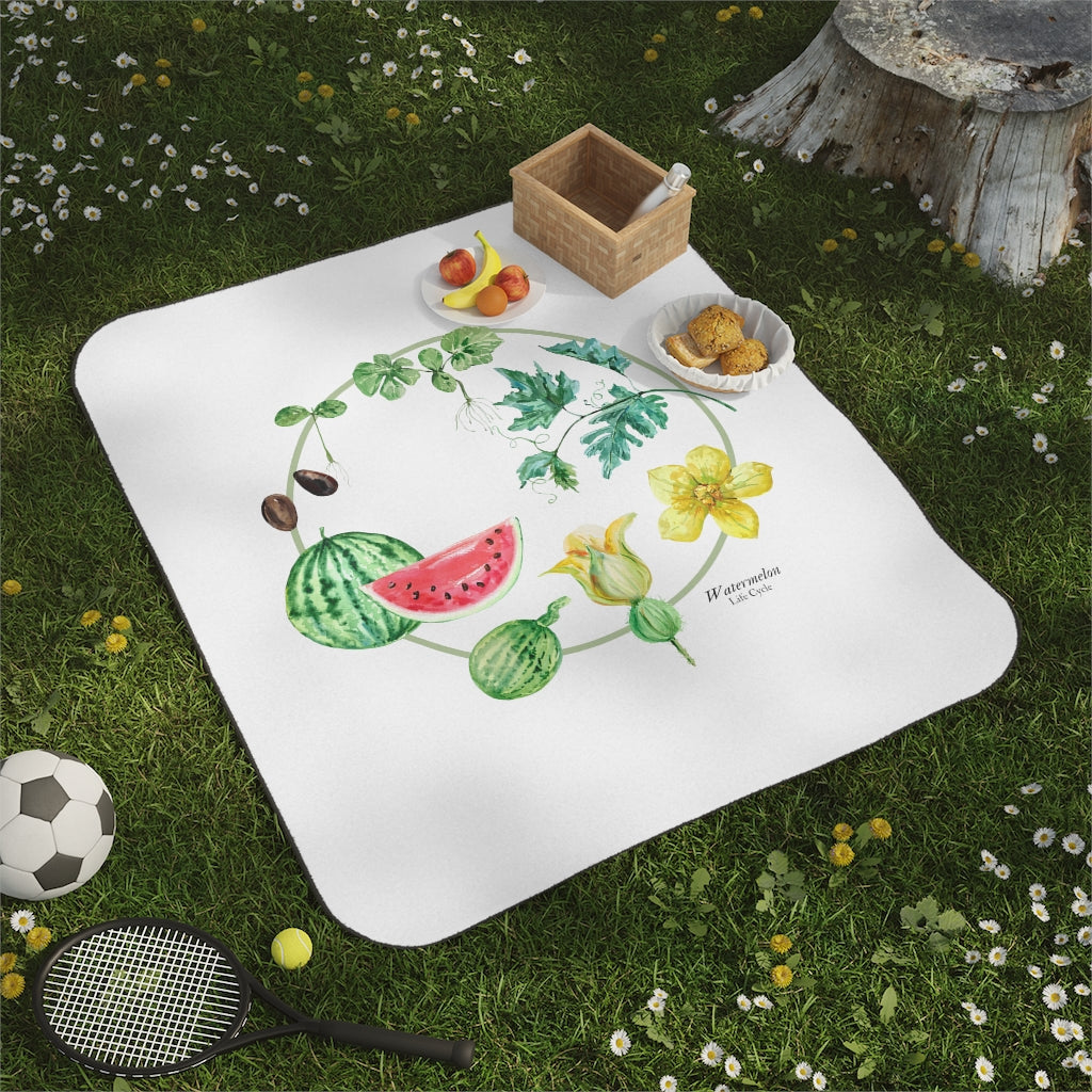 Picnic Blanket 1