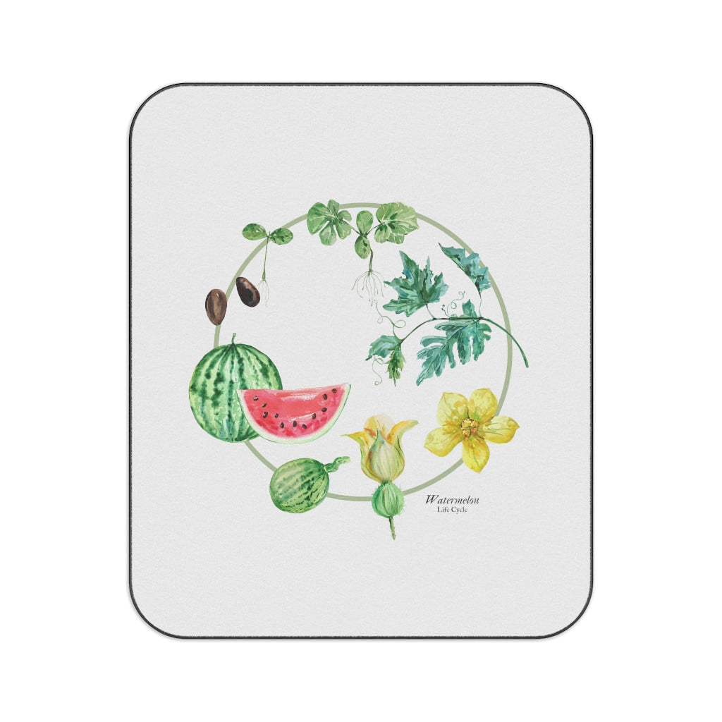 Picnic Blanket 1